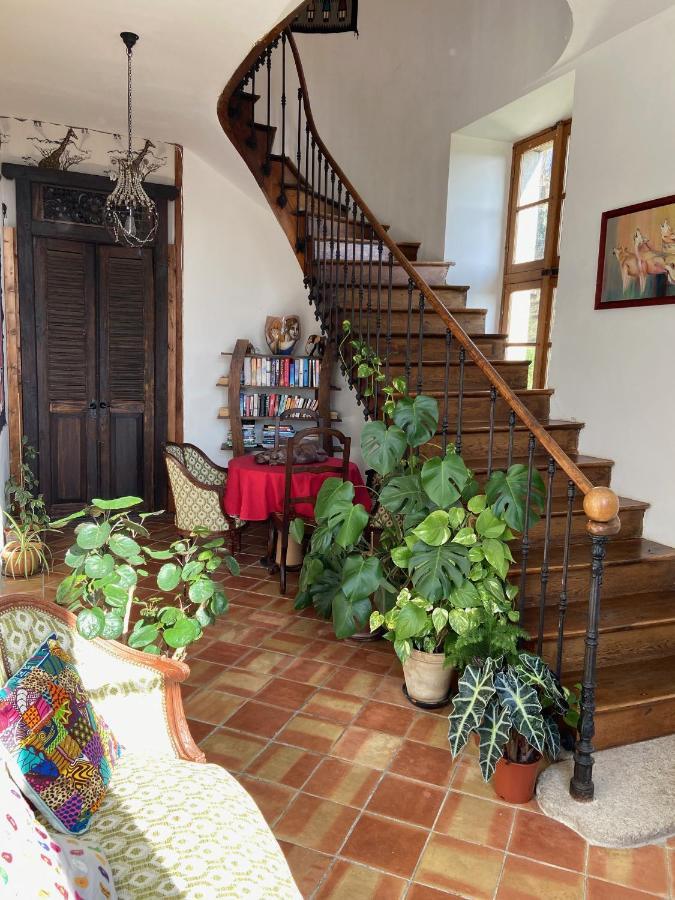 L'Enquenouille Basse Guest House Verdun-en-Lauragais Екстериор снимка